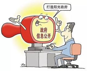 山西省政府信息公开指南发布 查询信息如何申请？具体流程与咨询服务详解