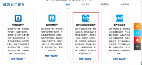 拼多多淘宝电商批量追踪查询快递物流信息实战指南与信息咨询服务解析